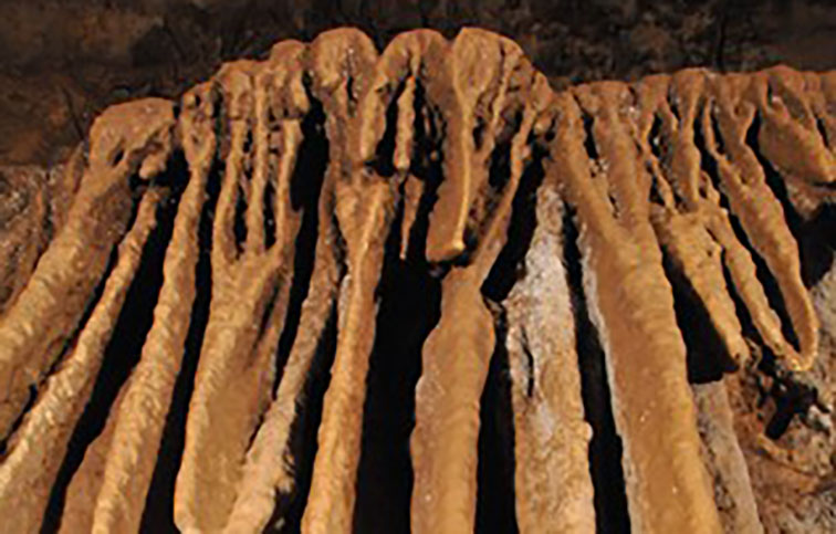 dettaglio grotte
