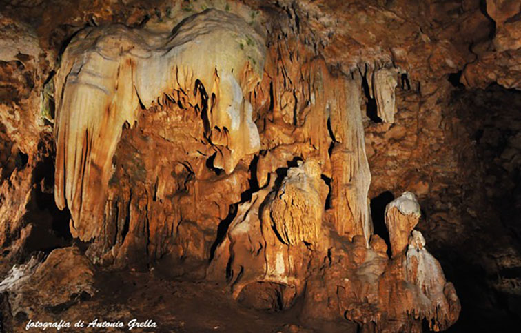 panoramica elefante