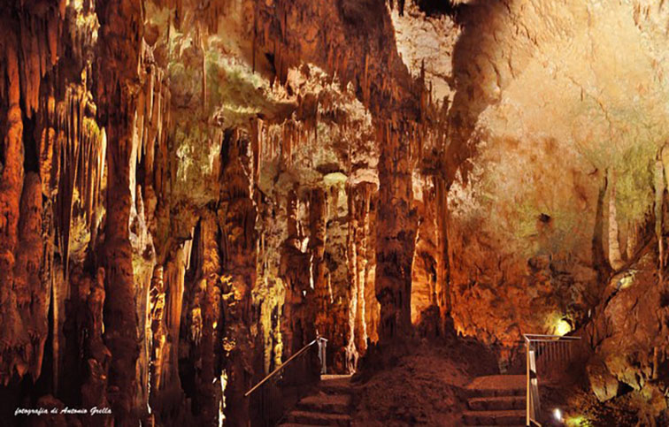 panoramica sala delle colonne