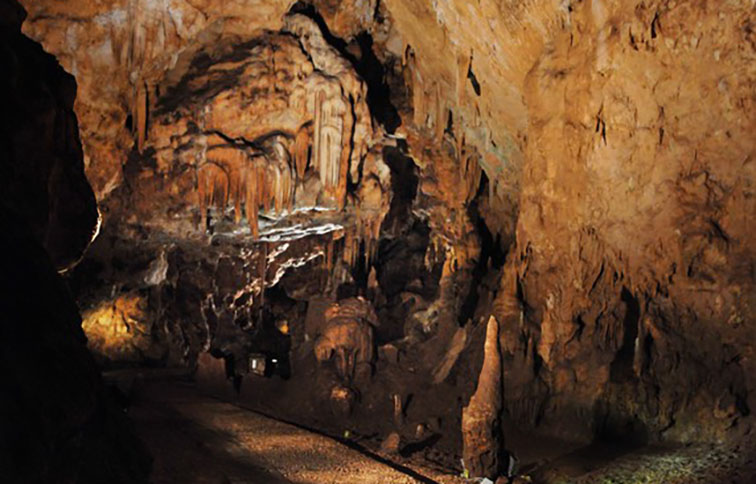veduta sala delle meraviglie