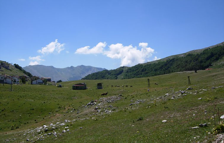 campo staffi veduta