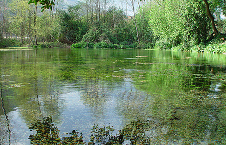cassino veduta