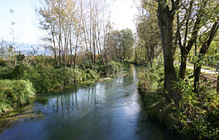 selva di paliano