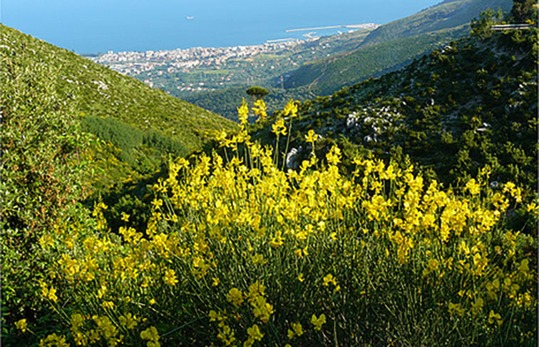 veduta parco monti aurunci