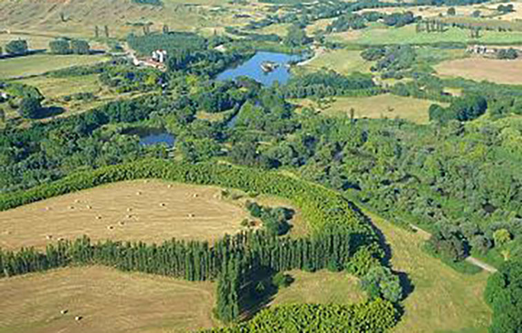 veduta selva di paliano